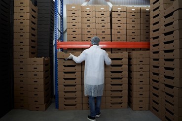 Capstone Logistics of Atlanta GA Reviews the Role of Warehouse Staff in Maintaining Agility